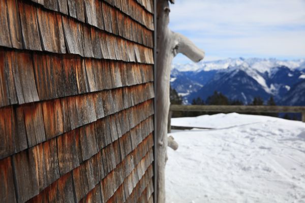 Cost of Cedar Siding Repair in Glen Allen