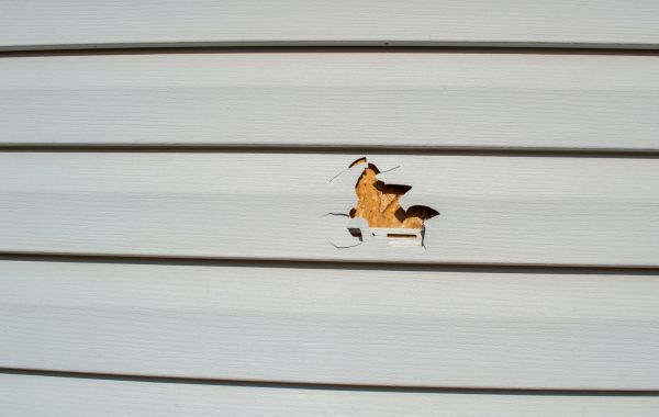 Cost of Siding Hole Repair in Glen Allen