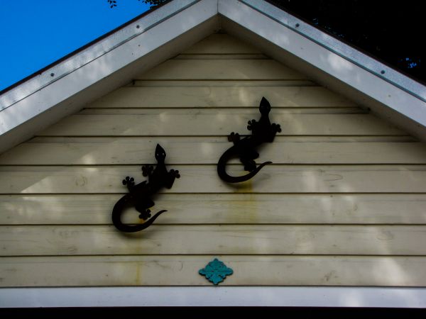 Cost of Shiplap Siding Installation in Glen Allen